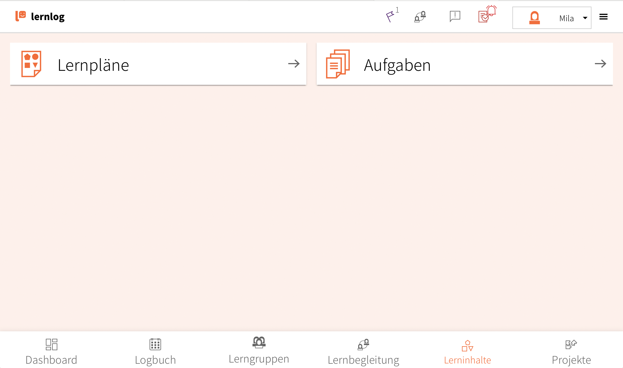 12-Meine-Lernplaene-Lernende.png