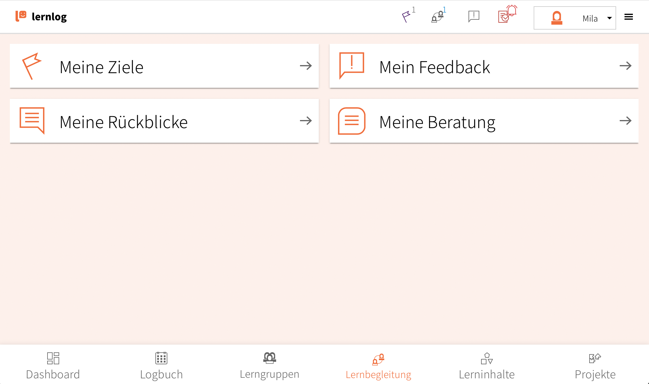 04-Lernbgleitung-Lernende.png